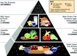 92 food pyramid